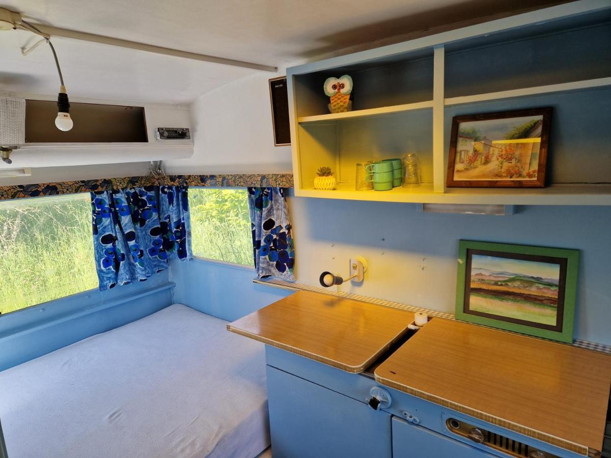 Camping La Foret Du Morvan Vintage Caravan Larochemillay Ngoại thất bức ảnh