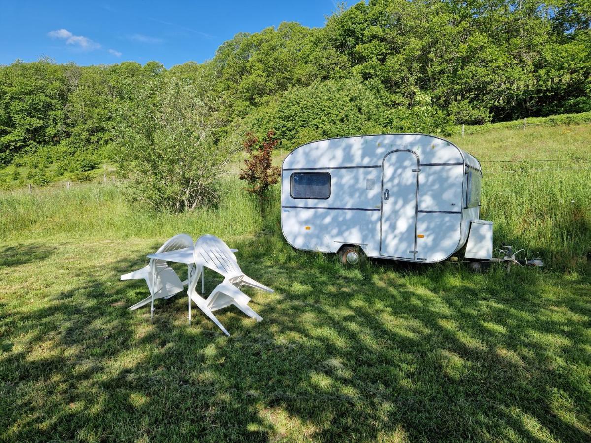 Camping La Foret Du Morvan Vintage Caravan Larochemillay Ngoại thất bức ảnh
