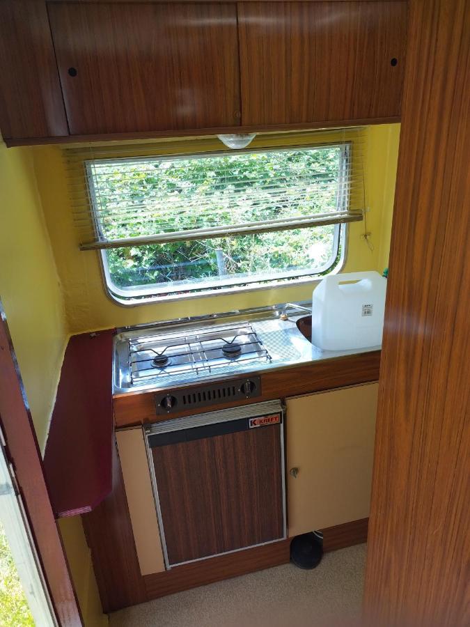 Camping La Foret Du Morvan Vintage Caravan Larochemillay Ngoại thất bức ảnh